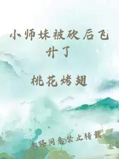 小师妹被砍后飞升了