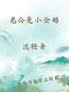 老公是小企鹅