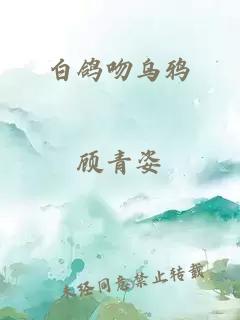 白鸽吻乌鸦