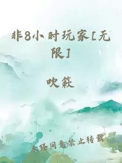 非8小时玩家[无限]